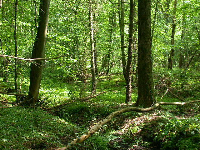 Uscita domenicale...